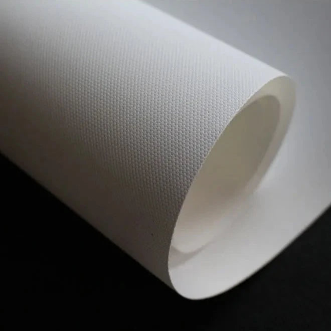 The Geisha and the Sword Ukiyoe Wall Art