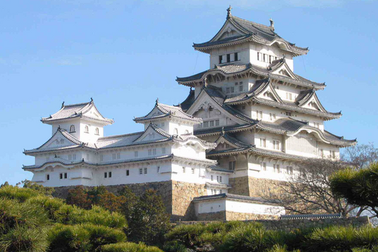 Discovering Japanese Castles in Tokyo