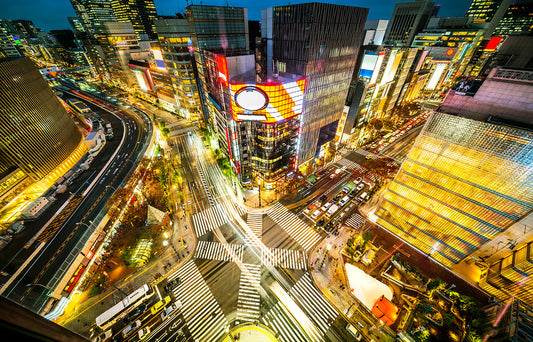 Japanese nightlife: Japan After Dark
