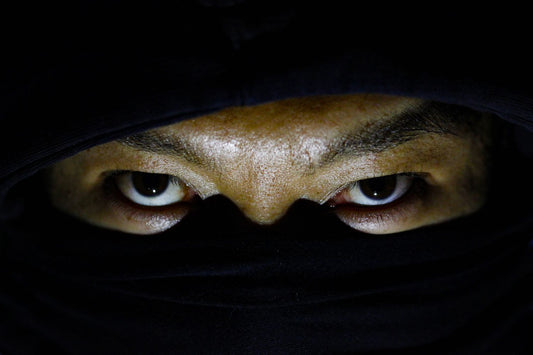 The True History of the Ninja