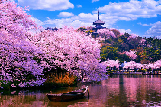 Japanese Life and Seasons