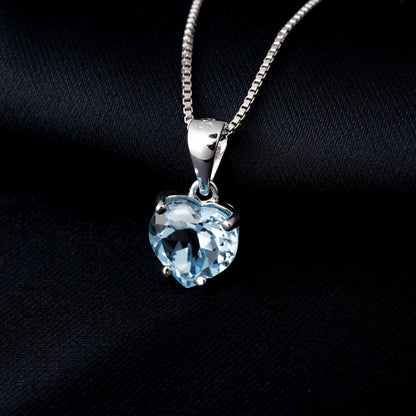 Heart of the Warrior 925 Silver Necklace